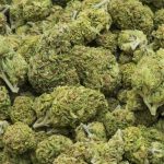 Marijuana | Clearbrook Treatment Centers