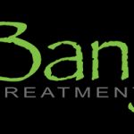 banyan treatment center logo black